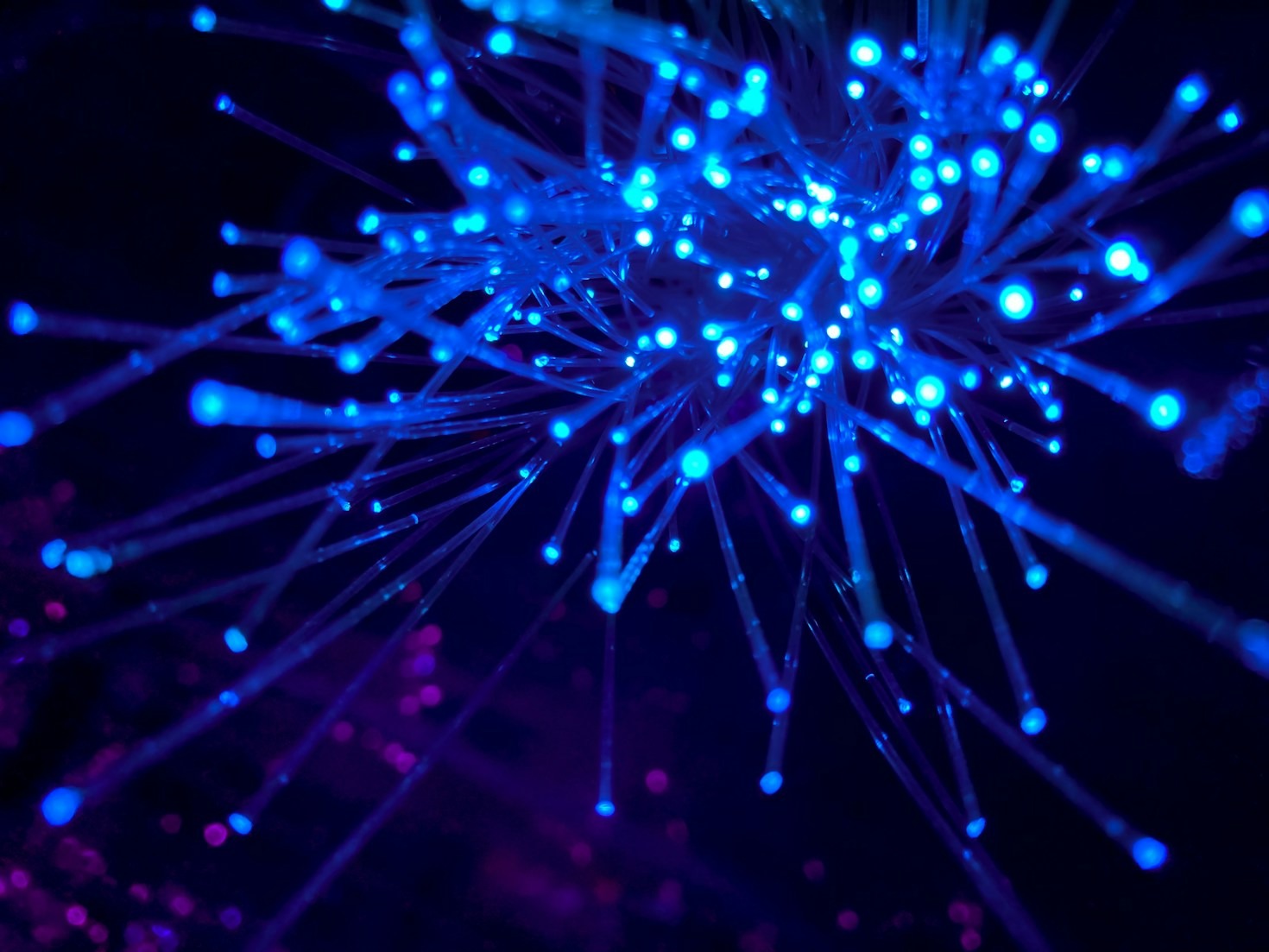 Sperimentare con l’AI: idee e risultati